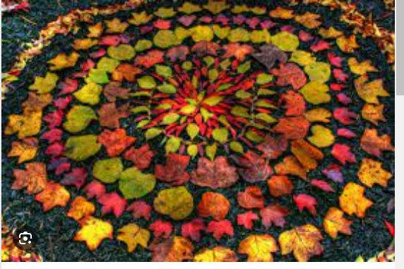 Artist Year 1 Andrew Goldsworthy