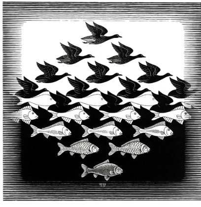 Artist Year 6 M C Escher